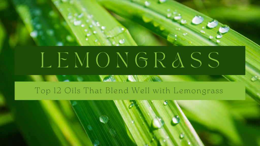 Lemongrass essential oil blends