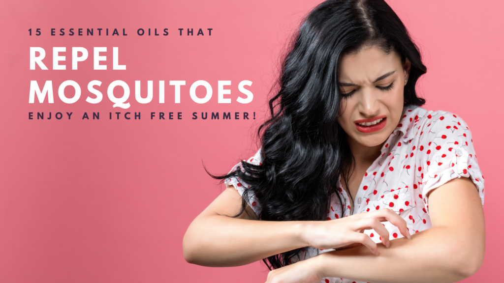 15 Essential Oils that Repel Mosquitoes Top Tips for an Itch Free
